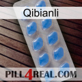 Qibianli 22